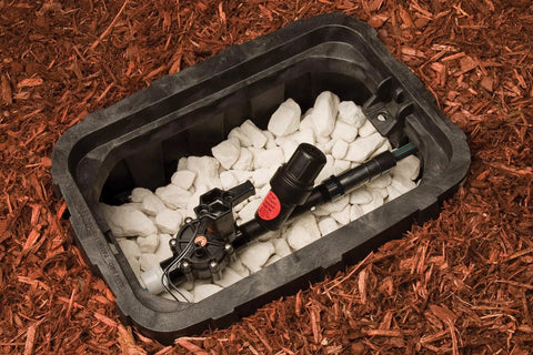 Rain Bird inline drip Y-filter, 3/4 in MPT, 30 PSI regulator, black plastic, installed in irrigation box with white stones.