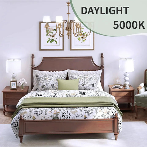 Bedroom with chandeliers and bedside tables lit by Six Pack A19 LED Light Bulbs With E26 Base 60 Watt Equivalent Daylight 5000K 9 Watts 800 Lumens Non Dimmable Long Life Up To 15000 Hours Ideal For Bedroom And Living Room Energy Saving Household Lighting