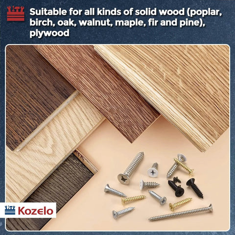 50 Pack Phillips Flat Head Wood Screws 316 Stainless Steel Self Tapping Countersunk with various wood planks and screws