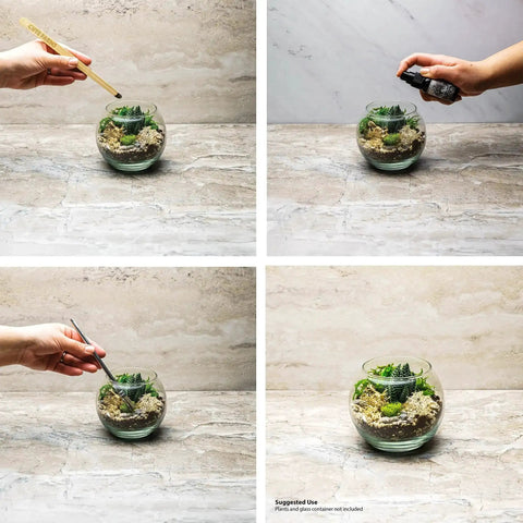 Terrarium Starter Kit With Moss, Soil, Vermiculite, Pebbles, Plant Food, Finishing Tools, And A Simple Build And Care Guide