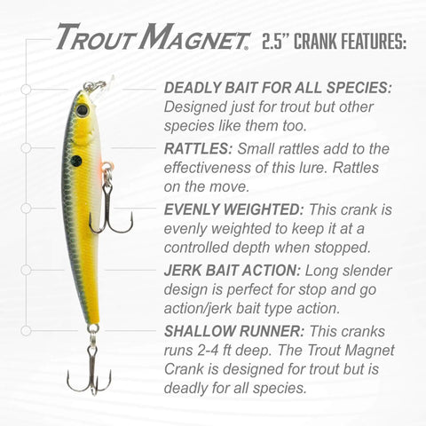 Crankbait Magnet Lure 2.5 Inch With Jerk Action And Rattle, Evenly Weighted For Brook Trout And Other Species, Deadly Multi Species Crankbait That Hides In Structure And Triggers Bites, displayed with product features text