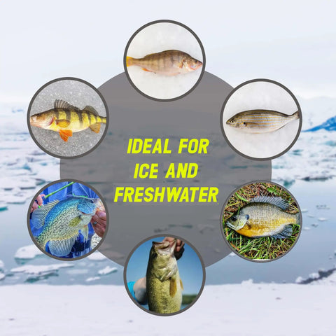 Collage of five different fish species ideal for ice and freshwater fishing, shown in small circular frames over a snowy landscape background.