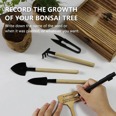 Hands using Beginner Bonsai Tree Starter Kit For Indoor Gardening with tools and plant pot.