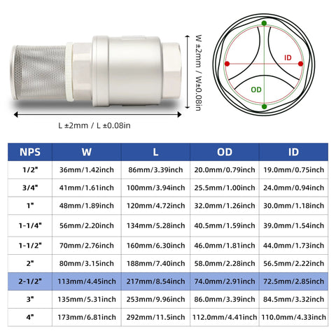 Foot valve with filter, 2-1/2 in NPT, stainless steel mesh, bottom valve for backflow in water pumps and irrigation DN65