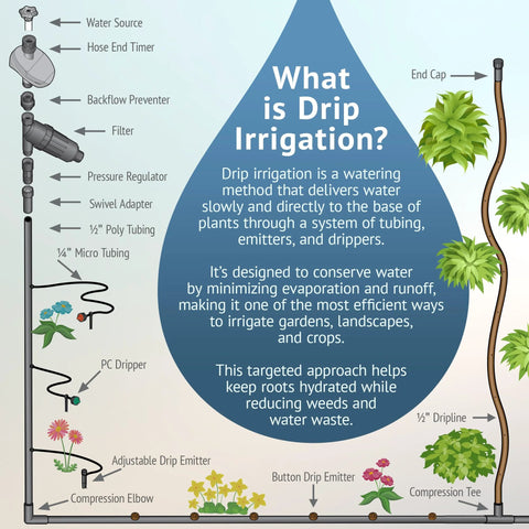Drip irrigation infographic: large water drop centerpiece, left-side components like filter and regulator, right-side drip line with end cap.