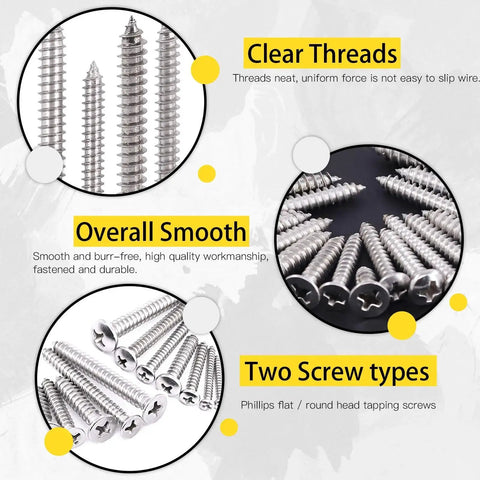 Close-up of 570 Piece Stainless Steel Self Tapping Screw Kit With Phillips Flat And Round Head Screws In 304 Stainless Steel Organized