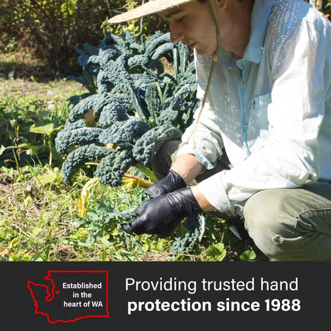 Person wearing Black Nitrile Gloves Heavy Duty 6 Mil Latex Free With Raised Diamond Grip 100 while gardening