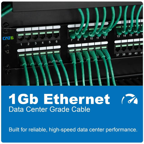 Green Cat6 Ethernet cables connected to a patch panel, showing networking setup for data center with label '1Gb Ethernet' for speed.