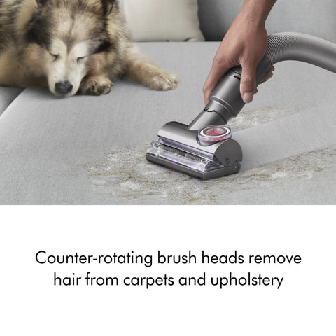 Dyson Ball Animal Total Clean upright vacuum on light gray carpet with dog nearby on sofa.