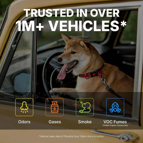 Dog inside a car with text highlighting "trusted in over 1M+ vehicles," relating to Odor Defense Activated Carbon Cabin Filter Acura And Honda Vehicles 2009 To 2025.