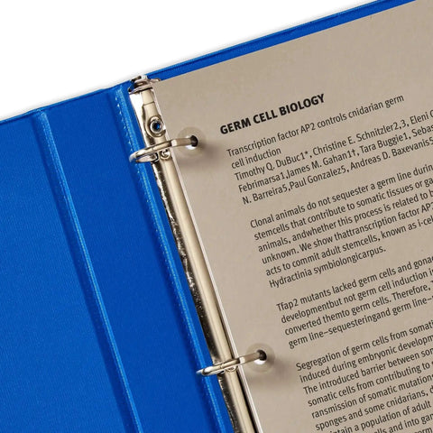 Clear hole reinforcement labels for 3-hole punched pages in blue binder, non-printable polyvinyl, set of 200