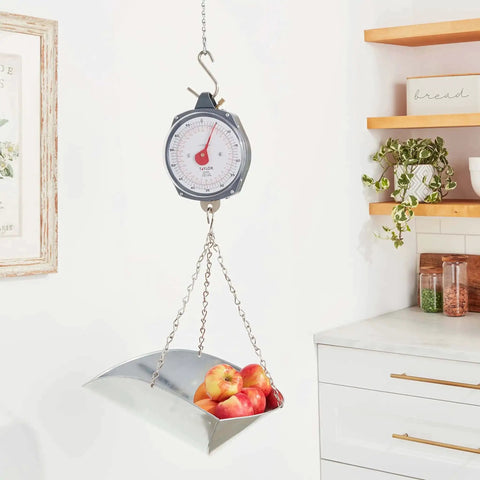 Dial Style 70-Pound Heavy-Duty Industrial Hanging Scale with high-visibility dial and red pointer, weighing apples in a kitchen.