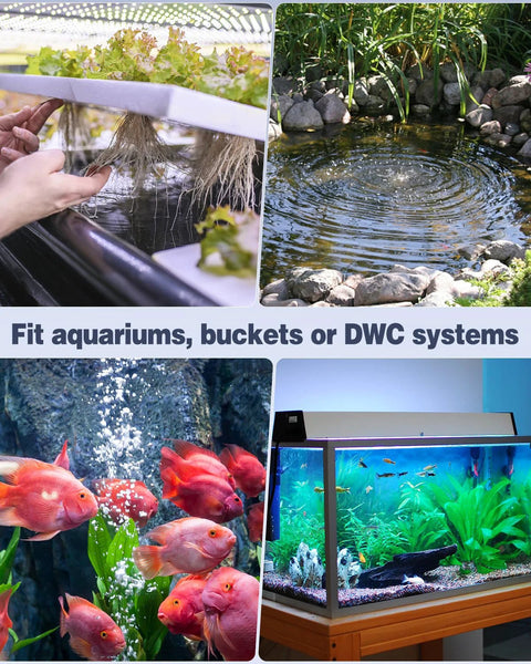 Amazon Pawfly aquarium air pump, 20 GPH for up to 5 gal tanks; includes tubing, stones and valves; fish collage