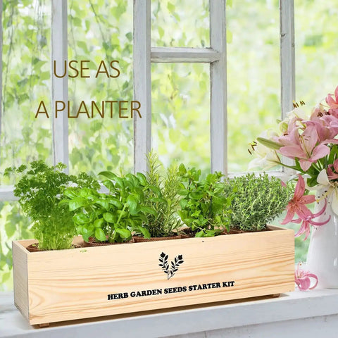 All In One Kitchen Windowsill Herb Garden Starter Kit with basil, parsley, rosemary, thyme, mint in a planter on a windowsill