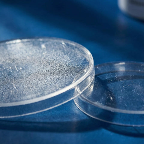 Two clear plastic stethoscope diaphragms; replacement accessories for pediatric and adult use