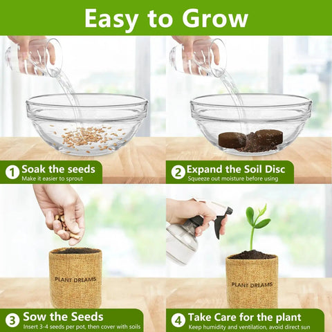 Beginner Friendly Bonsai Starter Kit With Seeds And Tools All In One Indoor Tree Growing Set instructions step by step