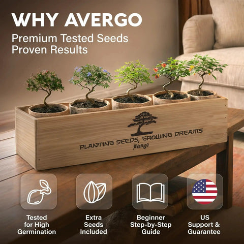 Beginner Bonsai Starter Kit With 5 Unique Japanese Bonsai Tree Seeds Complete Indoor Bonsai Growing Set With Tools And Planters