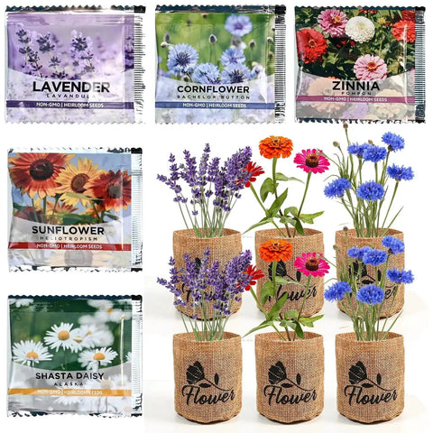 Indoor Daisy Garden Starter Kit With Planter Bags, Markers, Soil Disks, Mini Shears, And Planting Guide arranged with flower seedlings