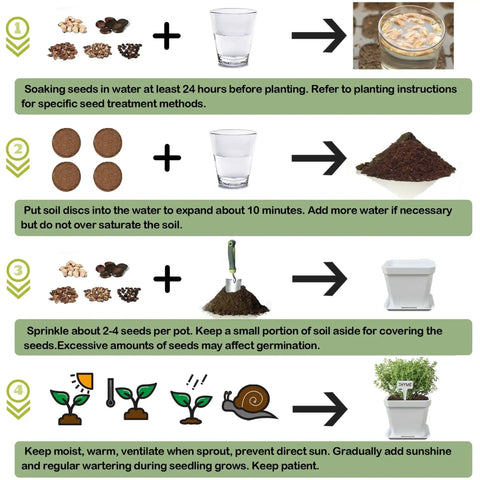 Steps for using 10 Herb Seeds Garden Starter Kit With White Pots Markers Soil Discs Watering Bottle Herb Clipper Mini Pruner Set
