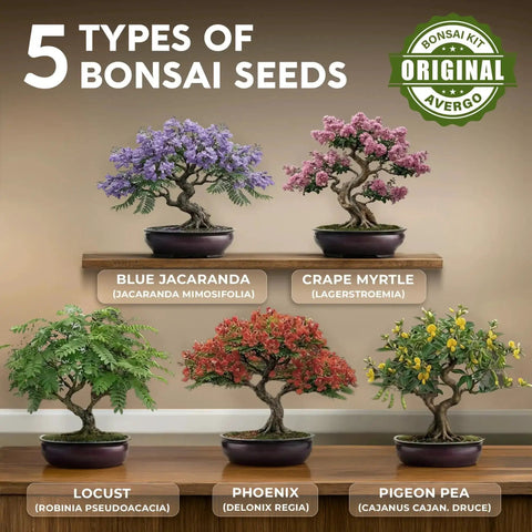 Beginner Bonsai Tree Kit With 5 Unique Japanese Bonsai Trees, Complete Indoor Bonsai Starter Kit Includes Tools, Planters, Extra Seeds, And DIY Growing Guide Dope Gift For Women And Men image showing five bonsai types: Blue Jacaranda, Crape Myrtle, Locust, Phoenix, and Pigeon Pea on wooden shelf.