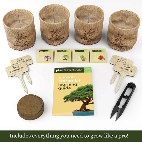 All In One Bonsai Growing Kit For Beginners With Seeds Norway Spruce Royal Poinciana Blue Jacaranda And Rocky Mountain Pine Burlap Pots And Easy Care Guide, showing burlap pots, seed packets, soil disc, markers, clipper, and guide.
