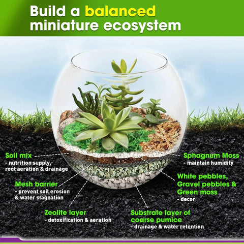 All In One Terrarium Kit With Premium Soil Mix Pumice Zeolite Moss Sphagnum Moss Decorative Stones Mesh And Tools For DIY Terrariums