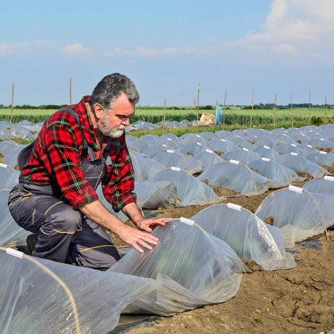 Lawn & Patio scene: man in plaid shirt kneeling to adjust clear plastic row covers over garden beds.