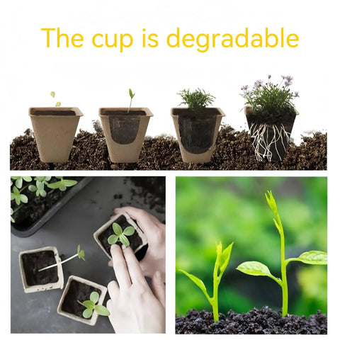 240 Cell Seed Starter Tray Kit with Biodegradable Peat Pots shown with growing seedlings and hand planting
