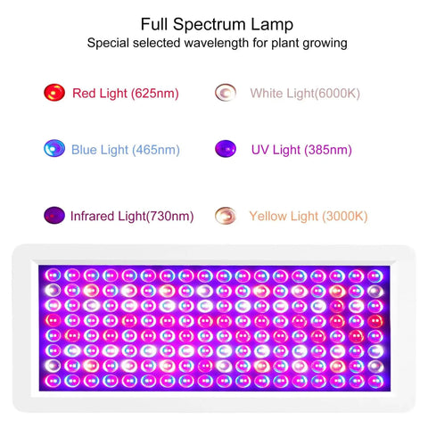 Full spectrum lamp image showing red, blue, white, UV, and infrared lights, part of Powerful 2000W UV Light Box Curing Enclosure For Shoes And Resin.