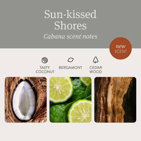 Stone Car Air Freshener With Metal Clip And Cabana Scent Starter Kit scent notes of coconut, bergamot, and cedar wood.