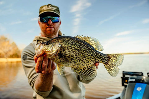 Angler holding a large crappie fish on a boat near the shore.