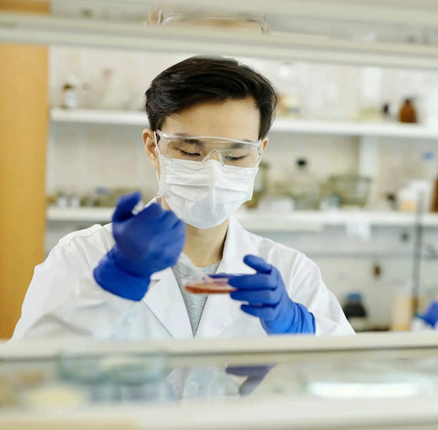 Scientist wearing Cobalt Blue Nitrile Examination Gloves Latex Free Medical Grade 4.5 Mil handling a petri dish