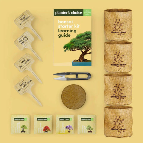 All In One Bonsai Growing Kit For Beginners With Seeds Norway Spruce Royal Poinciana Blue Jacaranda And Rocky Mountain Pine Burlap Pots And Easy Care Guide - Complete Kit View