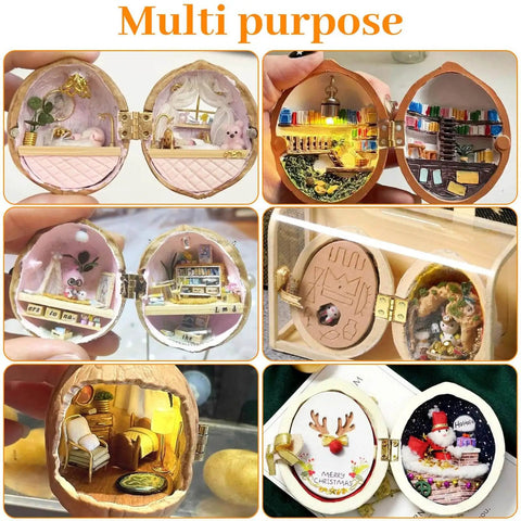 Mini dollhouse models inside walnut shells showcasing detailed rooms and decor for creative DIY craft projects.