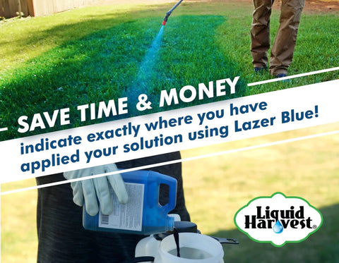 Applying Lazer Blue Spray Pattern Indicator Dye on lawn with visible spray coverage, non-permanent, non-staining, water-based.