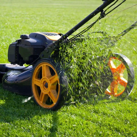 Close-up of a lawn mower cutting grass, highlighting the action of the process.