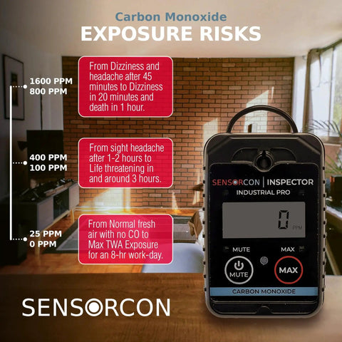 Industrial Pro Portable Carbon Monoxide Detector With Intrinsically Safe INS2 CO 03 Sensor displaying carbon monoxide exposure risks.