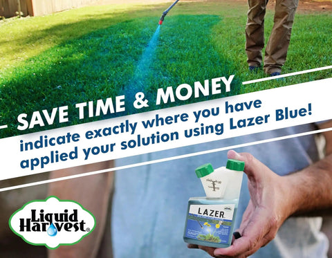 Person applying Lazer Blue Spray Pattern Indicator For Pro Grade Precise Turf Marking And Weed Dye 8 Ounces on lawn