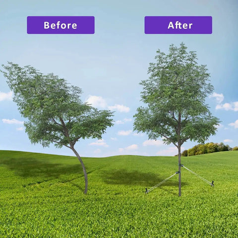 Comparison of young tree supported with All In One Steel Tree Stake Kit For Young Trees, Heavy Duty Tree Supports system installed.