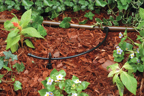 Rain Bird drip distribution tubing, 1/4 inch, black, 250' roll laid through mulch in a garden bed