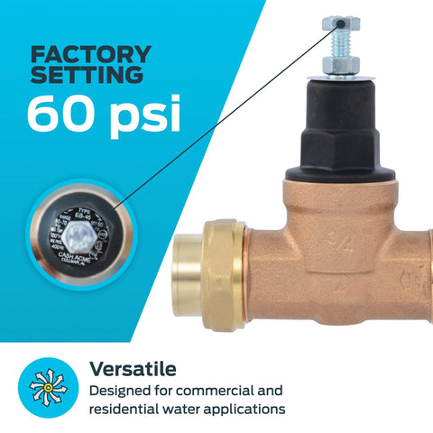 Pressure regulating valve, Cash Acme EB-45, brass body with poly top, double union, 3/4 in NPT female