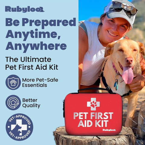 Vet Approved Dog First Aid Kit For Dogs And Cats Emergency Care At Home Car Camping And Travel with red case and pet owner.