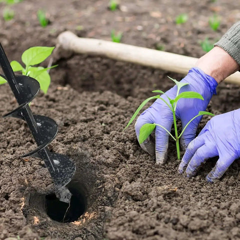 Extended Length Garden Auger Drill Bit 1.6 by 16.5 Inch For Planting Bulbs And Flowers Post Hole Digger in use with soil.