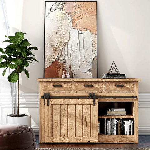 Wooden cabinet with sliding barn door, black hardware, decorative artwork on top, potted plant, and books on shelves.