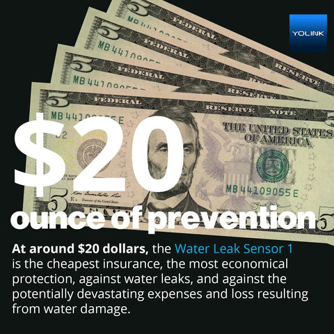 Stack of dollar bills with text '$20 ounce of prevention' promoting affordability of Smart Water Leak Detector 4 With 105dB Alarm, Freeze Warning, App Push, Email Alerts, Limited Text, Alexa And IFTTT Compatibility, One Quarter Mile LoRa Long Range Sensor, Hub Required.