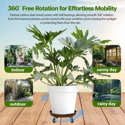 Heavy Duty Rolling Plant Caddy With Wheels 12 Inch Plant Stand Supports Up To 320 Lbs Durable Metal Construction With Locking Casters