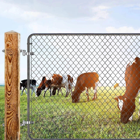 Chain link fence with cows grazing behind, showcasing 304 Stainless Steel Gate Hinge Set M12 by 8 Inch J Bolt Gate Hinges.