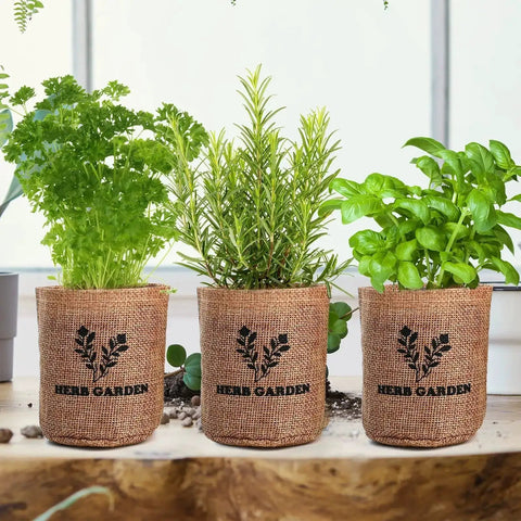 All In One Kitchen Windowsill Herb Garden Starter Kit That Makes Growing Basil Parsley Rosemary Thyme Mint A Breeze With Five Seed Varieties Planter Box Bags Discs Markers Tools Pruner Water Bottle And Easy DIY Guide, showing three burlap planter bags with herbs.