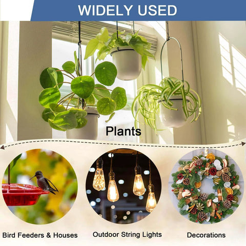 Hanging plants near window with bird feeders, outdoor string lights, and holiday decorations, showcasing diverse home decor uses.