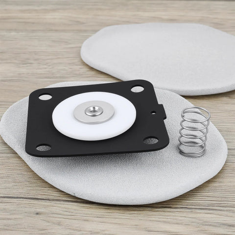 Diaphragm repair kit for Goyen pulse valve K2501; white diaphragms, black mounting plate, and steel spring (1 set).